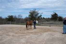 LR-WRF 0402026 Retreat-3189